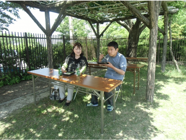 木漏れ日がまたイイ感じです