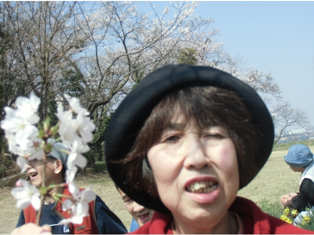 施設内の桜なので少しだけ…