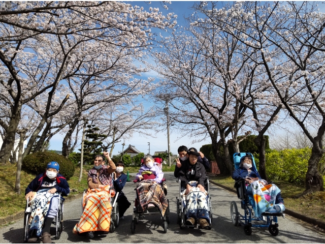 お花見散歩