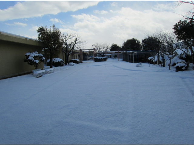 一面雪国　はなのきの里屋外運動場