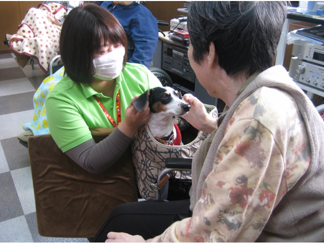 ホームズ君です。耳を触ってみてください。