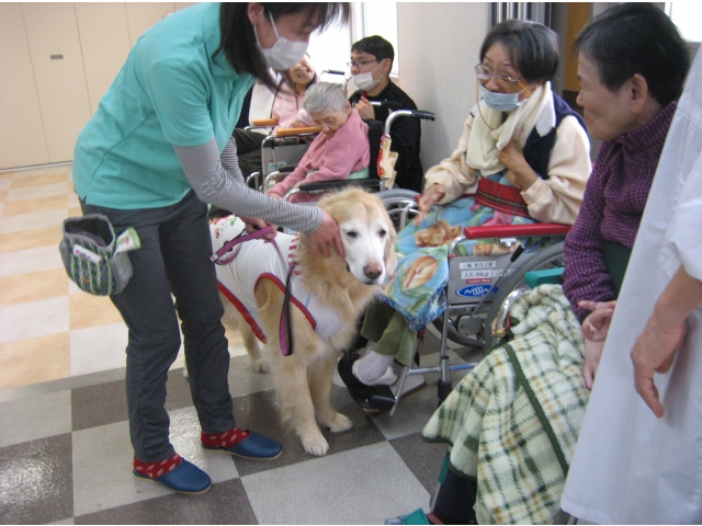 もんじゅ君です。おとなしくてかわいいでしょ。