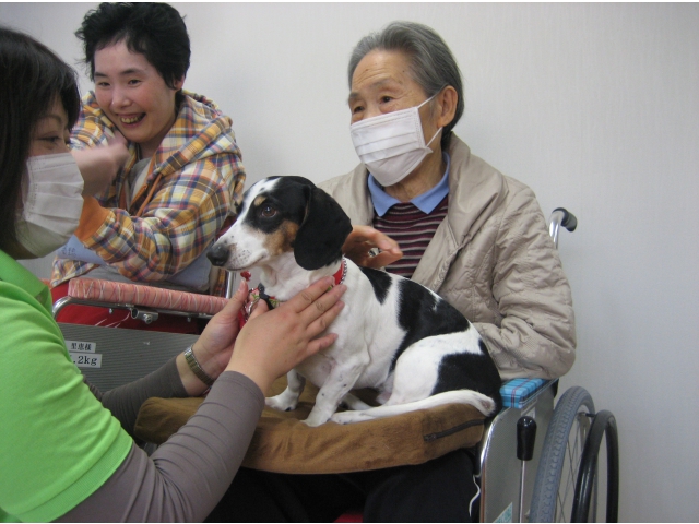 膝のりワンちゃん!ホームズ君