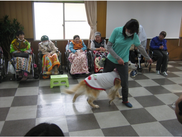 もんじゅ君の「足くぐり」披露