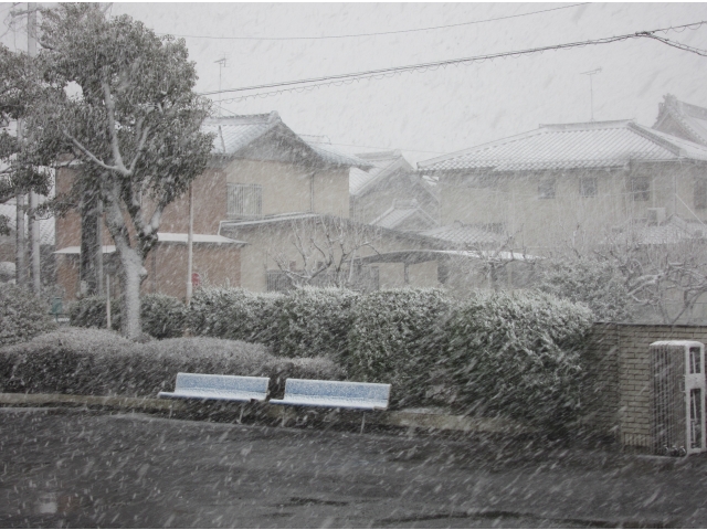 横なぐりの雪
