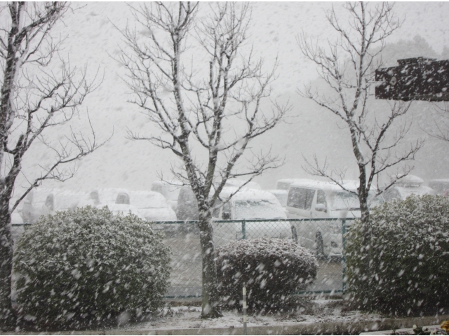 積もって来ちゃった