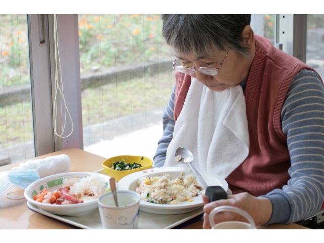 美味しそうに食べています（2）