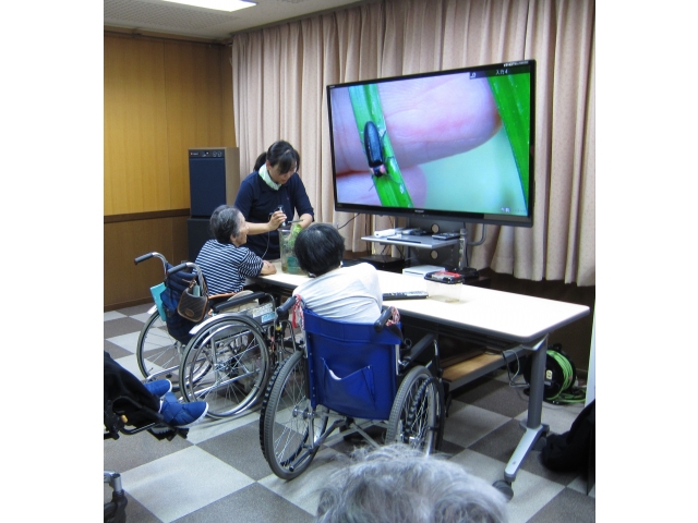 テレビ画面で観察中