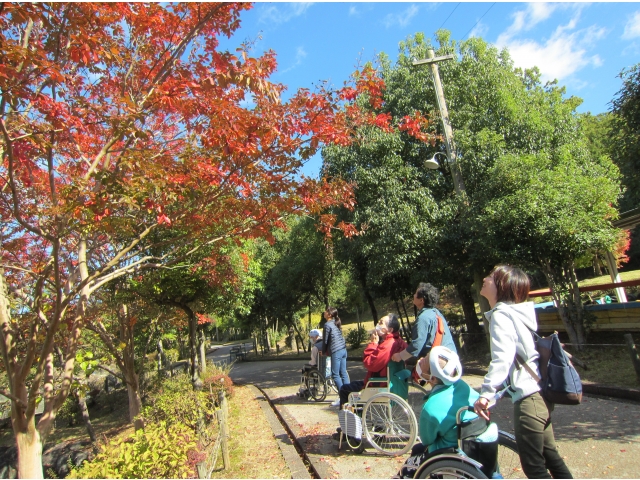 紅葉きれいだな～