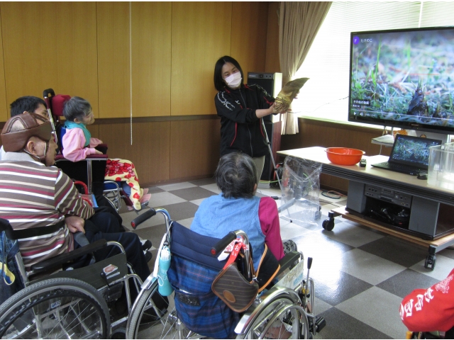 タケノコ見たことありますか？