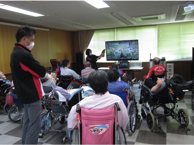 1日1ｍ近く
成長することも
