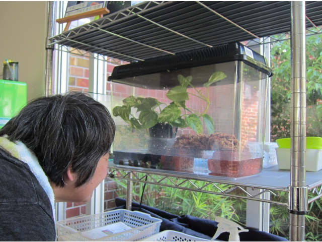 水苔をセットして
上陸準備完了！