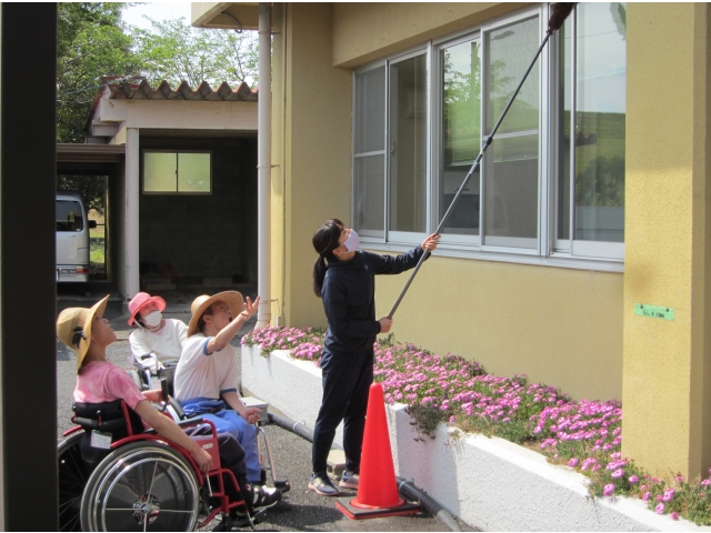 クモの巣バスターズ始動！