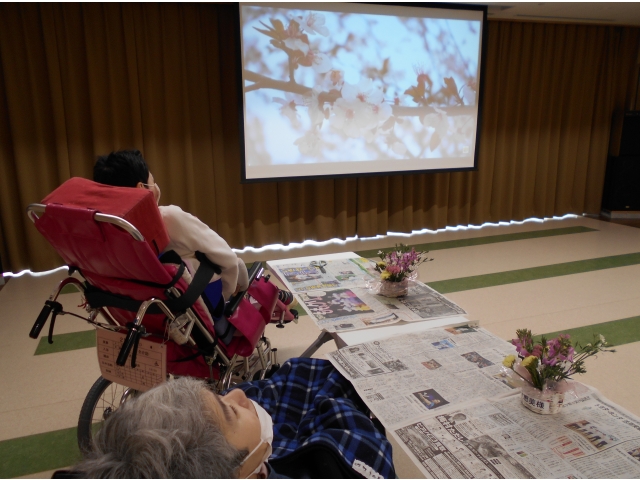 早くお花見行きたいね