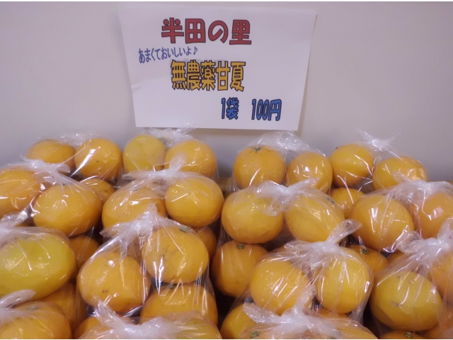 無農薬で安心です★大きいのが入ってて100円なんてお得!
