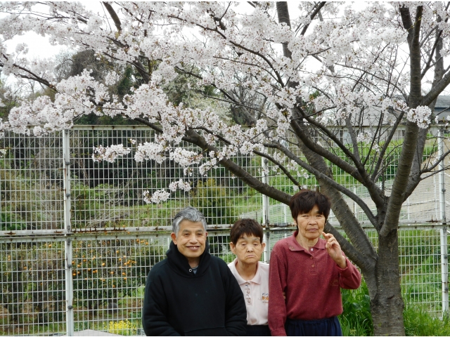 桜と一緒に