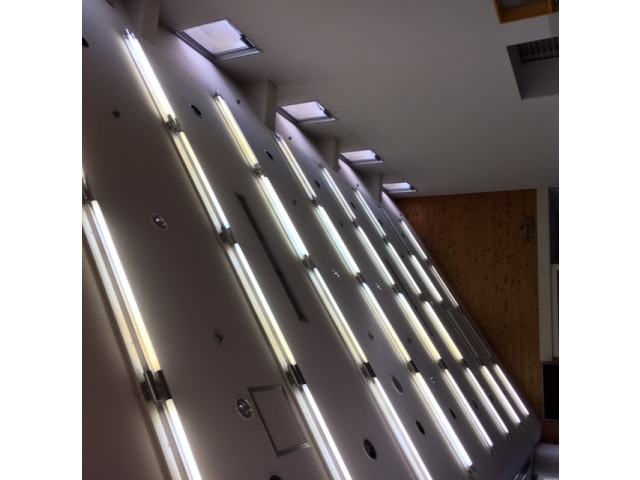 ＬＥＤ