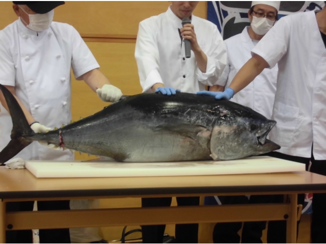 大きなマグロ‼