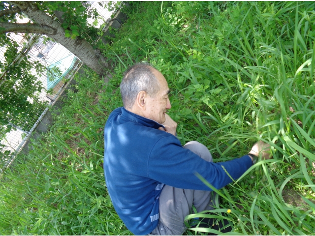 宝探し？
いえいえ、草むしりですよ！