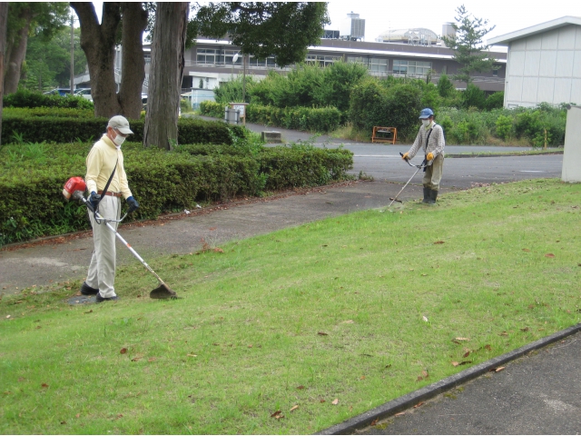 芝生をきれいに。