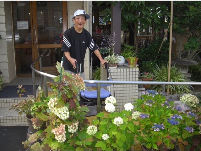 お店にはアジサイがきれいに咲いていました