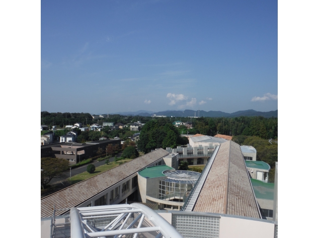 足場からの眺望です
