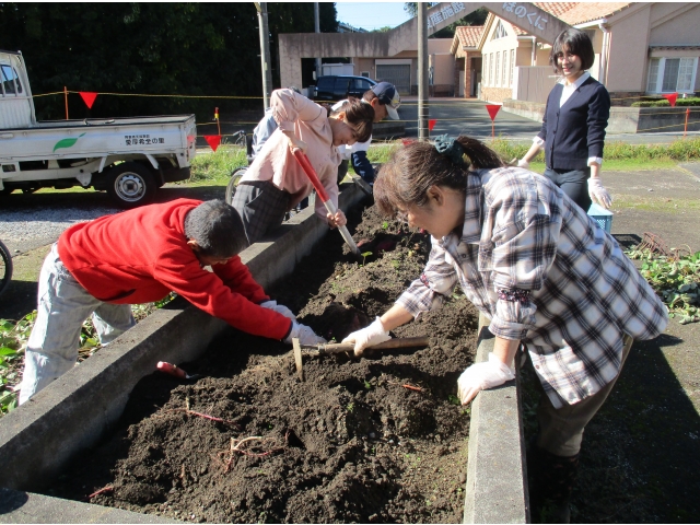 どのくらい収穫できるかな