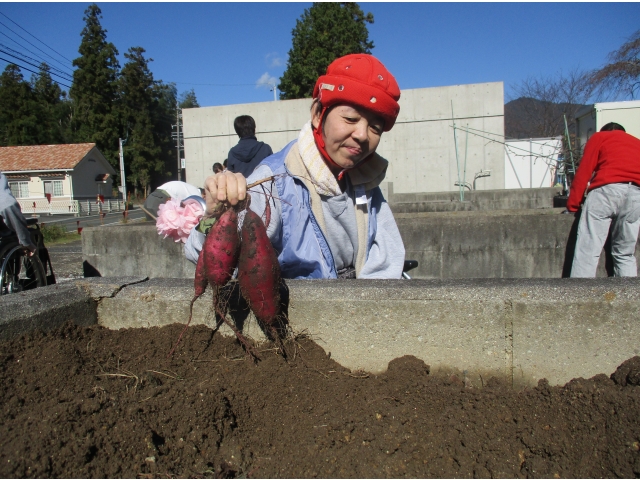 お芋出てきた！