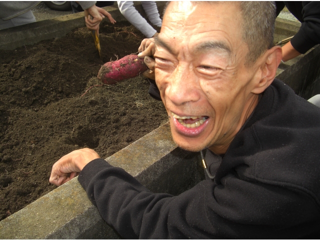 楽しい！