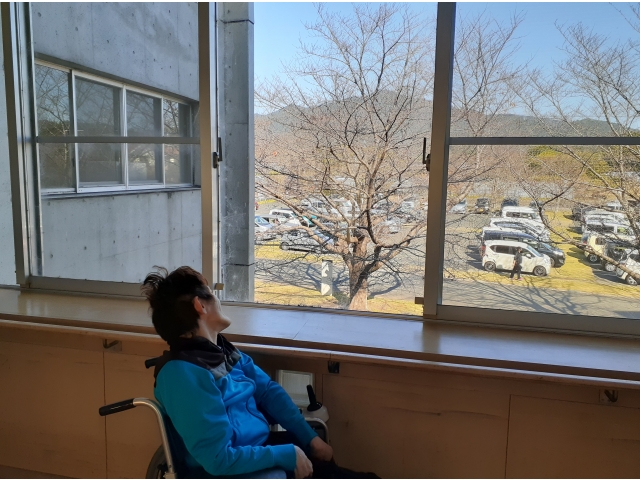 希全の里だけの景色