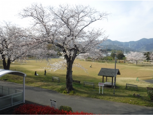 地域の方の憩いの場ともなっています