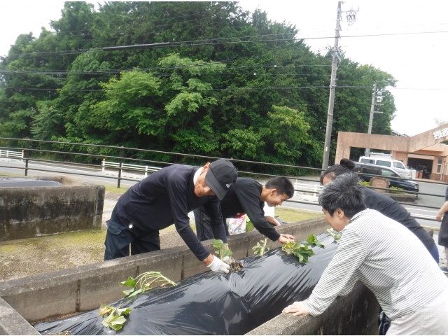 大きく育ちますように……