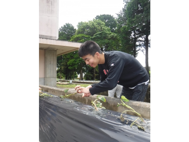 楽しいな♪