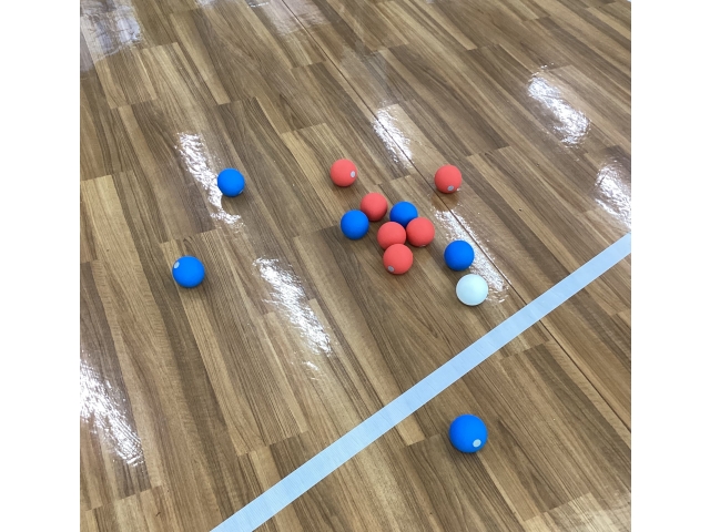 接戦となっています👀