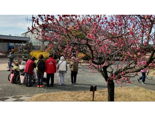 咲いていて良かったね