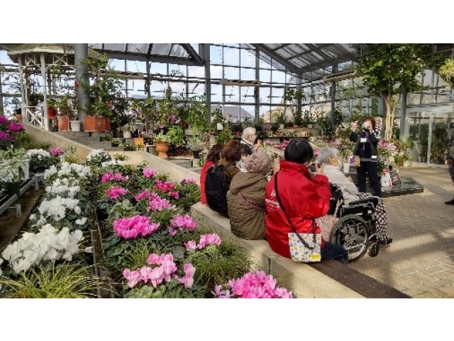 公園内にあった温室でしばし温まり