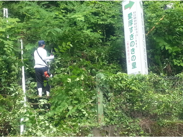 草刈も実施