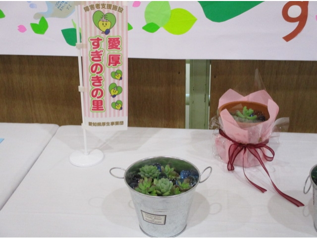 多肉植物👀