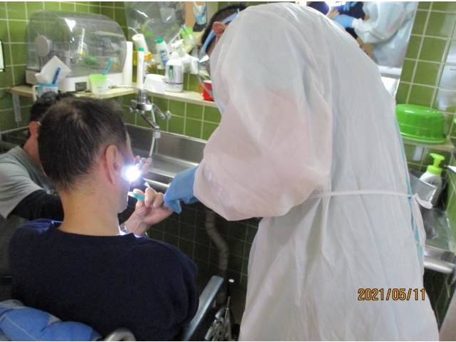 磨き方もチェック