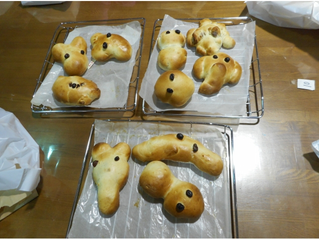 動物パン