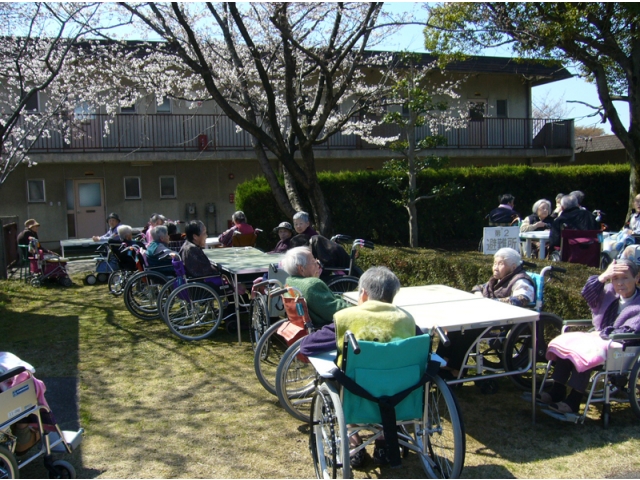 花見会