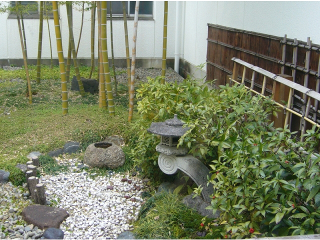 中庭