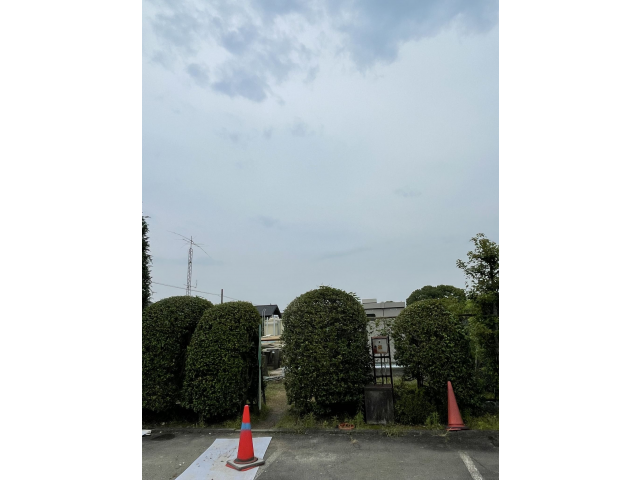 少し寂しいですね