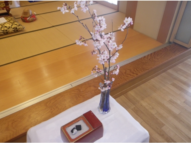 和尚様が持ってきて下さった桜です。