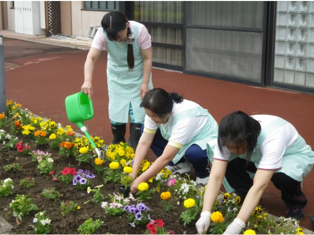 みんなでせっせと植えました！
