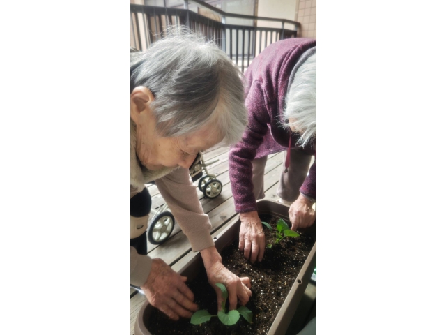 教科書通り忠実に