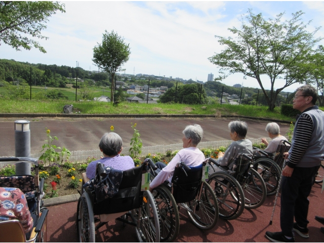 外の空気が気持ち良いです