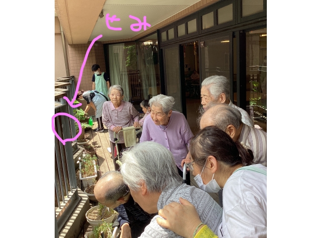 かわいいね～