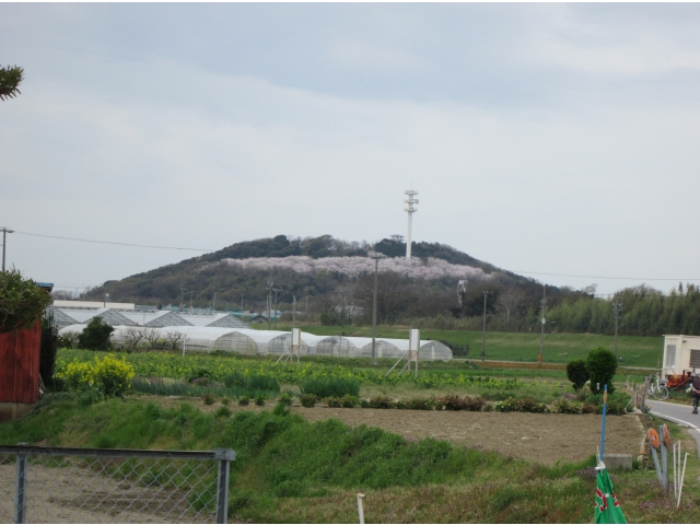 西尾苑から見える八ツ面山の風景です。