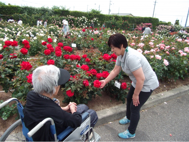 手入れが大変そうですね